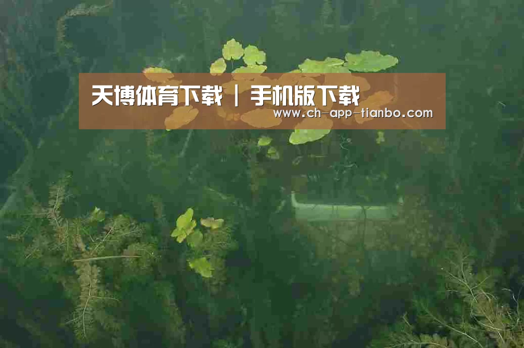 案例展示三(图1)