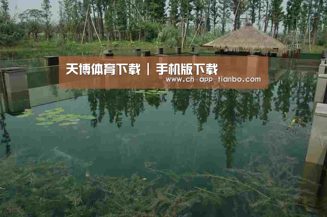 案例展示二(图1)