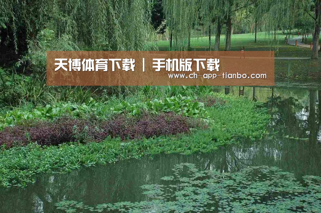 案例展示一(图1)