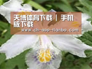 产品名称二