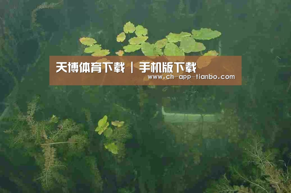 案例展示三
