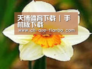 产品名称四