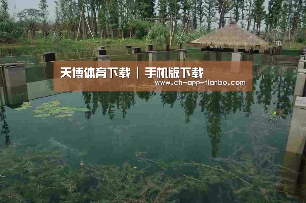 案例展示二