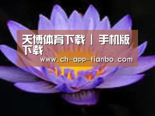 产品名称六
