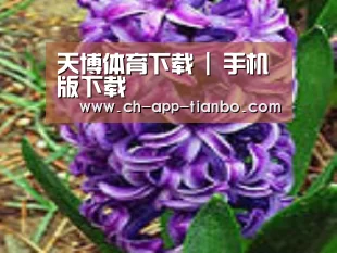 产品名称八
