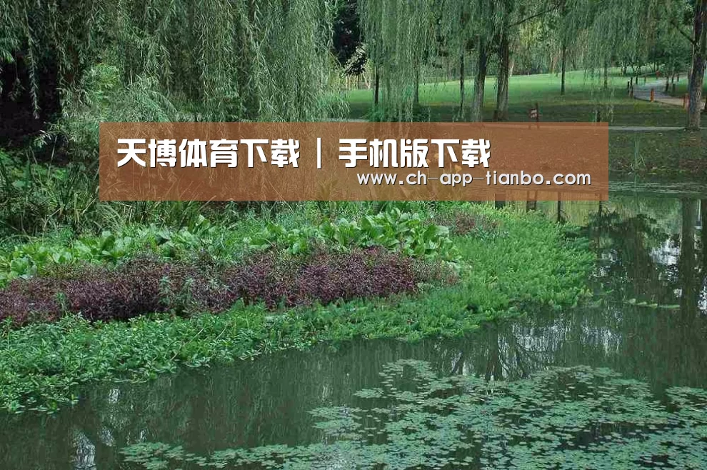 案例展示一