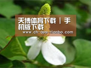 产品名称三