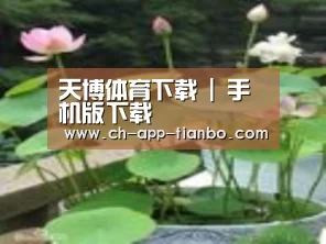 产品名称一