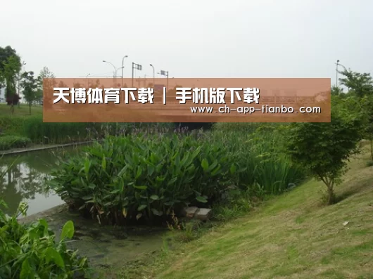 案例展示四