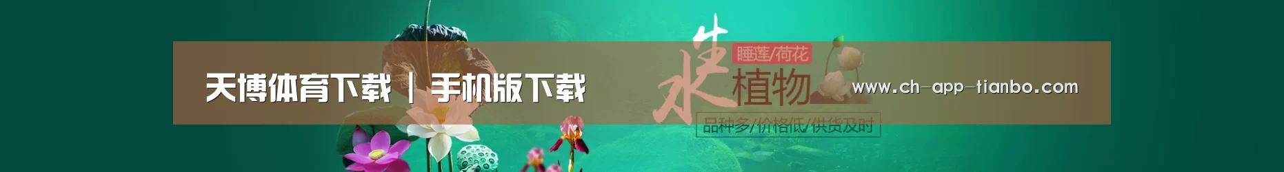 鲜花水草花卉网站模板