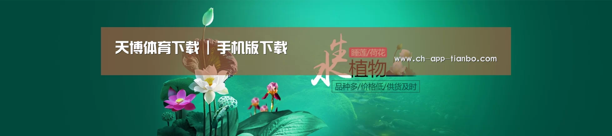 鲜花水草花卉网站模板