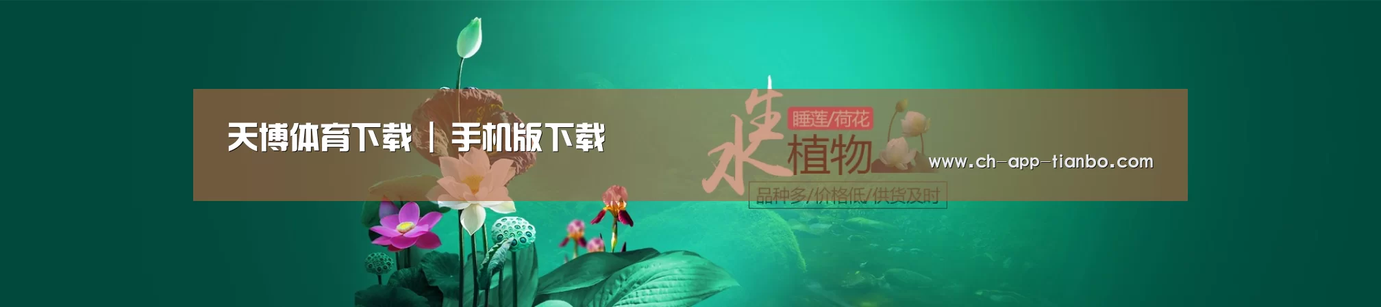 鲜花水草花卉网站模板