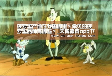 天博体育官网