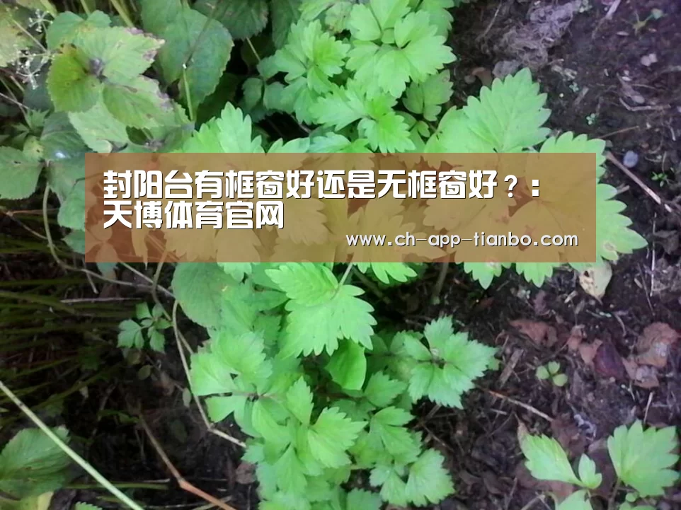 天博体育官网