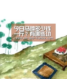 天博体育app