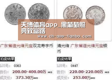 天博体育app_黑葡萄照亮致富路(图2) 天博体育下载