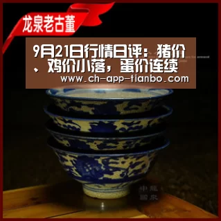9月21日行情日评:猪价、鸡价小落,蛋价连续大跌,玉米等待新粮上市‘天博体育下载’(图3) 天博体育app下载